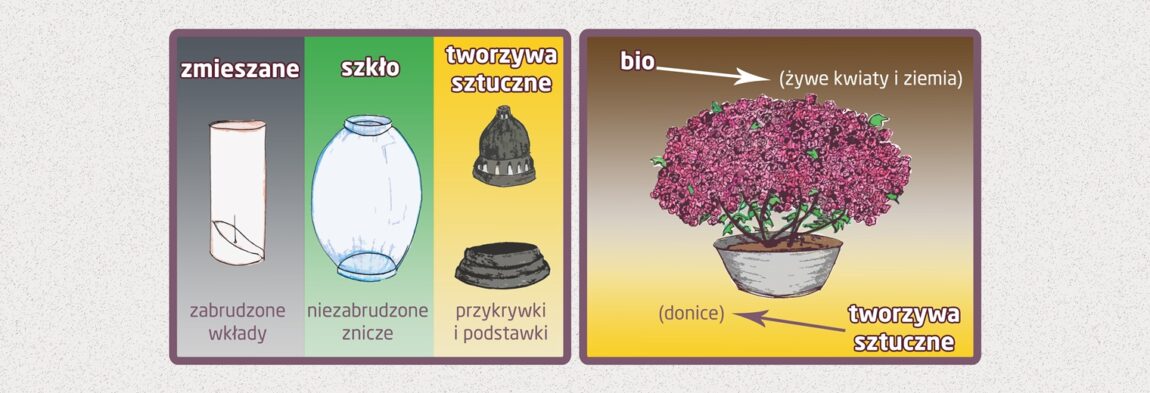 segregacjaStrona.jpg